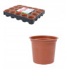 Doniczki na Rozsady Komplet Paletka Plastik 20 szt 6 cm