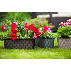 SKRZYNKA BALKONOWA DONICZKA RATTAN 60cm antracyt