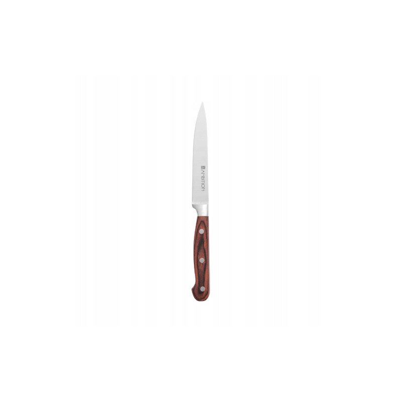AMBITION TITANIUM NÓŻ KUCHENNY 13CM KUTY