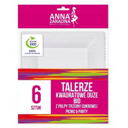 DUŻE TALERZE PROSTOKĄTNE 6SZT DUŻE BIO NA GRILLA