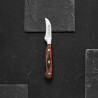 AMBITION TITANIUM NÓŻ OBIERAK 5CM KUTY