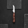 AMBITION TITANIUM NÓŻ OBIERAK 5CM KUTY