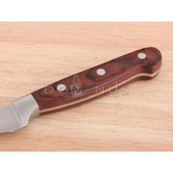 AMBITION TITANIUM NÓŻ OBIERAK 5CM KUTY
