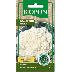 BIOPON NASIONA KALAFIOR BETA