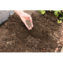 BiOPON Natural OBORNIK granulowany KOŃSKI 5L