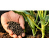 BiOPON Natural OBORNIK granulowany KOŃSKI 5L