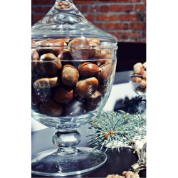 POJEMNIK SZKLANY NA CIASTECZKA BOMBONIERKA edwanex