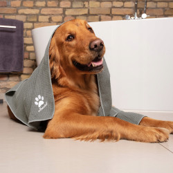 Vileda Pet Pro XL ręcznik z mikrofibry dla zwierząt, szybkoschnący