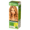 JOANNA NATURIA COLOR FARBA DO WŁOSÓW BEŻOWY BLOND 209 ALOES