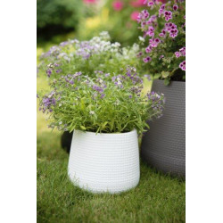 Doniczka Osłonka SYSTEM NAWADNIAJĄCY Rattan 17 cm biała VERDENIA