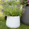Doniczka Osłonka SYSTEM NAWADNIAJĄCY Rattan 23 cm biała VERDENIA