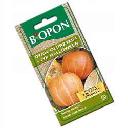 BIOPON Dynia olbrzymia typ. helloween 3 g