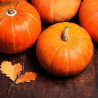 BIOPON Dynia olbrzymia typ. helloween 3 g