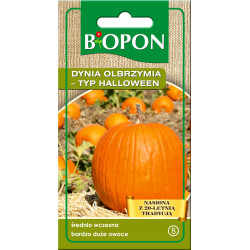 BIOPON Dynia olbrzymia typ. helloween 3 g