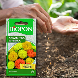 Aksamitka wysoka mieszanka 1g BIOPON