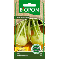 BIOPON nasiona Dynia Zwyczajna Cukinia 2 g