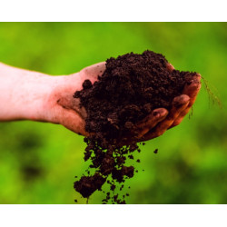 BIOPON Nawóz do róż odżywka mineralny róża płynny 0,5 L