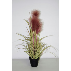 ROŚLINA DEKORACYJNA 54x30x30