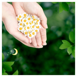 Naturella Podpaski Classic Night Camomile 7 sztuk