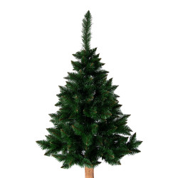 CHOINKA NA PNIU SOSNA HIMALAJSKA 220CM