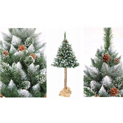 CHOINKA NA PNIU SOSNA SZRONIONA Z SZYSZKĄ 220CM