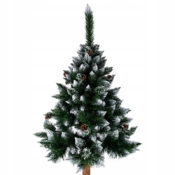 CHOINKA NA PNIU SOSNA SZRONIONA Z SZYSZKĄ 220CM