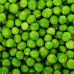 Biopon 40g Groch Siewny Łuskowy Sześciotygodniowy