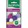 Biopon nasiona aster wysoki chryzantemowy mieszank