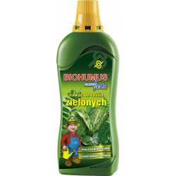 Nawóz do roślin zielonych 0,35l