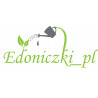 Nawóz do roślin zielonych 0,35l