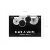 Rozety dekoracyjne czarnobiałe - Black&White m