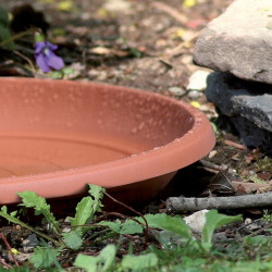 PODSTAWKA TERRA NOVA 33CM