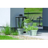 DONICZKA BETON 14CM