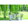 DONICZKA BETON 14CM