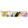 BALON FOLIOWY FROZEN