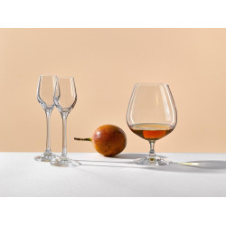 BOHEMIA VIOLA KIELISZKI DO BRANDY 600ML 6szt
