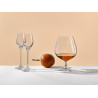 BOHEMIA VIOLA KIELISZKI DO BRANDY 600ML 6szt