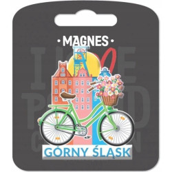 MAGNES GÓRNY ŚLĄSK ROWER