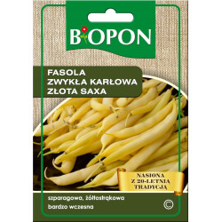 BIOPON Nasiona - FASOLA ZWYKŁA KARŁOWA Złota Saxa 25g