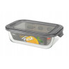 KEEP IT FRESH Poj ze szkła żaroodpornego 650ml (prostok) wz. GREY