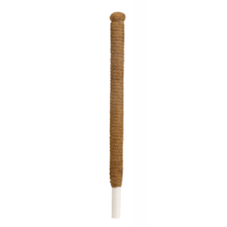 TYCZKA KOKOSOWA PALIK PODPORA NA ROŚLINY KWIATY 60cm x 32mm x 25mm