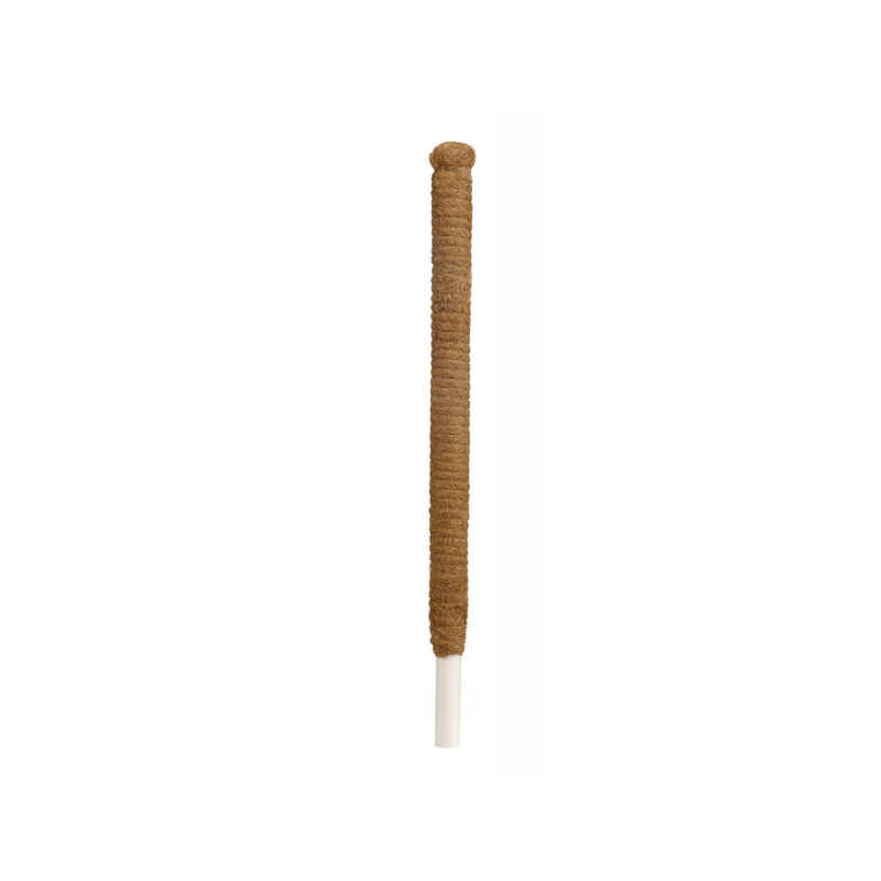 TYCZKA KOKOSOWA PALIK PODPORA NA ROŚLINY KWIATY 60cm x 32mm x 25mm