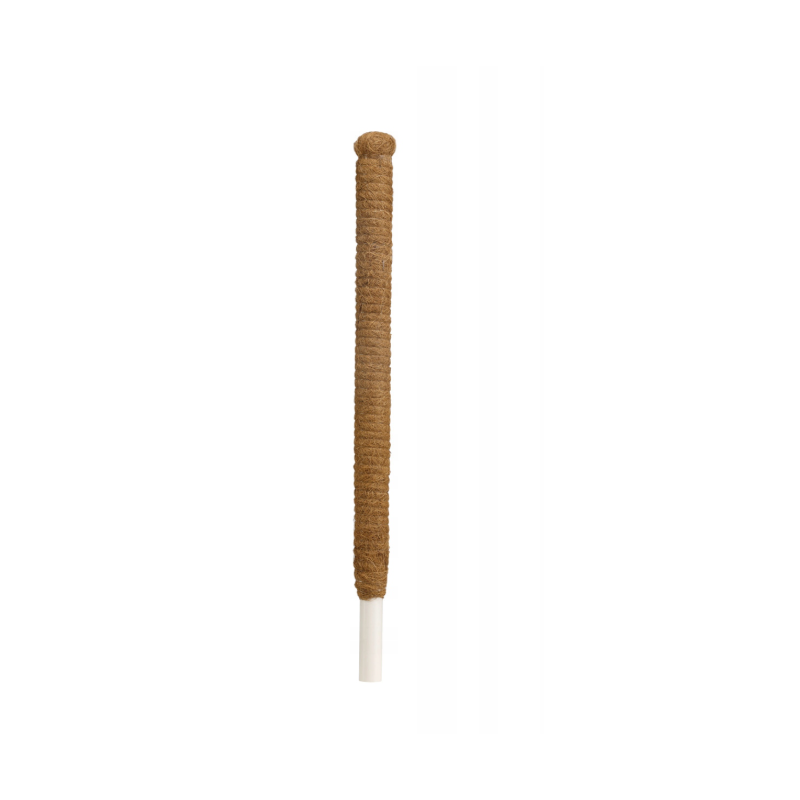 Tyczka kokosowa Palik Podpórka kokos na rośliny kwiaty 45 cm